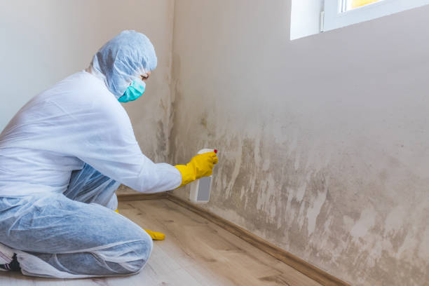 Hvac And Air Duct Mold Remediation inspection of HVAC system in Annapolis Junction